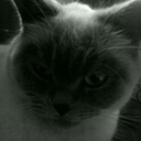 oldschool-rides avatar