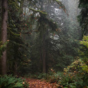 oldwaystonowhere avatar