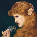 oleanderandsalt avatar