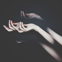 olive-and-ivory avatar