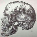 olives-and-tea avatar