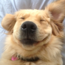 olives-x-blog avatar