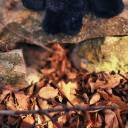 olivesstitchlings avatar