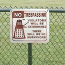 oliviaisacactus avatar