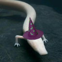 olm-the-cavewizard avatar