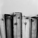 olmek-icin-yasiyoruz avatar