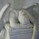 olmuyorsa-r-yapknk avatar