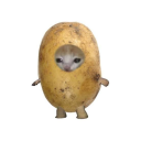 omashedpotato avatar