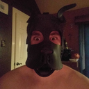 omega-bandit-pup avatar