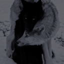 omega-paradise avatar