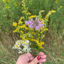 omegarosemain avatar