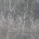 omens-from-discworld avatar