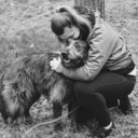 omg-a-username avatar