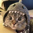 omg-abby-posts avatar