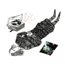 omg-alise-blog avatar