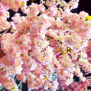 omg-ezio-blog avatar