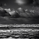 omgprincemyles avatar