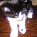 omgskyyyyyyyyyyy avatar