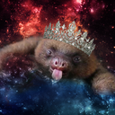 omgslothsinspace avatar