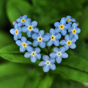 omgturtlesoup avatar