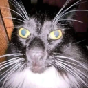 ominousgradient avatar