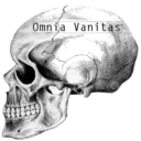 omniavanitasblog avatar