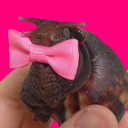 omnipotentnothing avatar