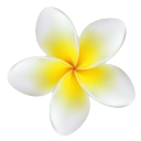 omnomers4life avatar