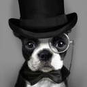 on-me-bonce-son avatar