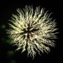 on-my-way-here avatar