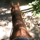 onanyothersunday avatar