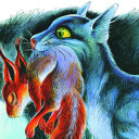 once-a-kittypet avatar