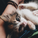 onceupona-mars avatar