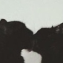 onceuponacayleygraph avatar