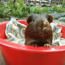 onceuponawheek avatar