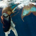 ondasdolitoraal avatar