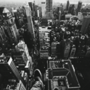 one-boy-one-person avatar