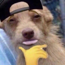 one-of-many-mothmen avatar