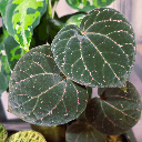 one-step-too-far avatar