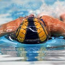 one-stroke-at-a-time avatar