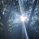 one-wish-for-a-lonesome-star avatar