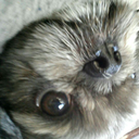 oneandonlyweirdme avatar