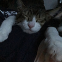 onebloodypoet avatar