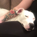 onebluepebble avatar