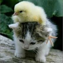 onebreezyafternoon avatar