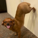 onedayatatime333 avatar