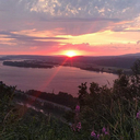 onedayiwillfind avatar