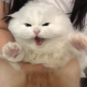 onedaylightersworld avatar