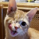 oneeyedizabella avatar