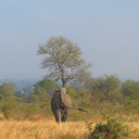 oneforall-earthlings-blog avatar